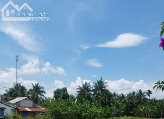 Bán đất Giá rẻ Ngay mặt tiền Quốc Lộ 50 - Tiền Giang