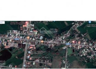 Bán đất Thị trấn Tân Hòa, Gò Công Đông