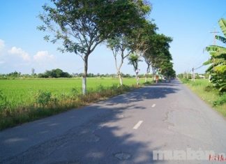 Bán đất mặt tiền tỉnh lộ 862 thuộc thị trấn tân hòa