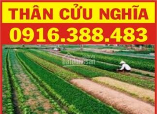 Bán đất Thân Cửu Nghĩa, gần đại học Tiền Giang DT 1000m2, giá bán 1.5tỷ. Chính chủ: 0916.388.483