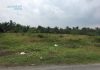 Bán 3400m2 đất mặt tiền đường 5m ngay cạnh KCN Tân Mỹ Chánh,Mỹ Tho