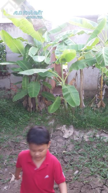 Bán đất xã Đạo Thạnh, đường 4m