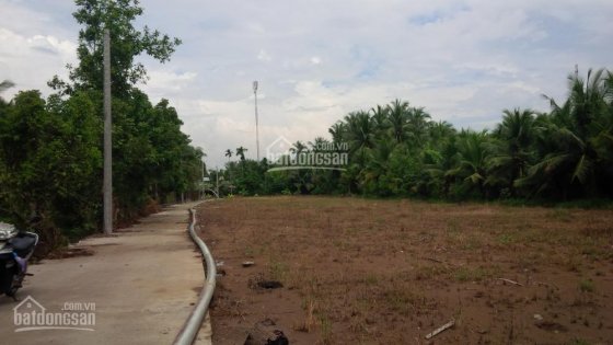 3 nền liền kề cuối cùng giá cực sốc – cơ hội vàng để đầu tư