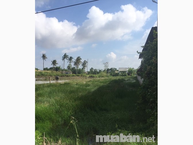 2,7công đất mặt tiền tỉnh lộ 877B,xã Phú Thạnh,huyện Tân Phú Đông