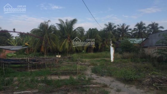 BÁN ĐẤT MẶT TIỀN QL1A XÃ THÂN CỬU NGHĨA, H.CHÂU THÀNH, T.TIỀN GIANG -L HƯNG 0979.727.656
