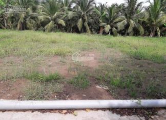 Đất chính chủ thổ cư bán cho công nhân