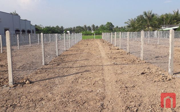 Bán Đất 5 X 38 Mặt Tiền Quốc Lộ 50 Gò Công Tây Tg – 580 Triệu VNĐ