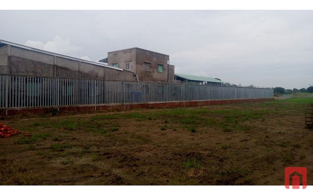 Chính chủ Bán 1 Hecta đất ấp Giồng Cát, xã Long Hoà, tx Gò Công, tỉnh Tiền Giang. – 5,5 Tỷ VNĐ