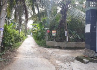 Cần bán lô đất nền 5x24 = 120m2, thổ cư 100%, giá 300tr.