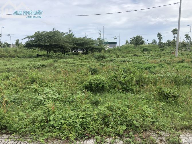 Bán 7600m2 đất vườn mặt tiền QL1A,xã Bình phú,Cai Lậy,TG