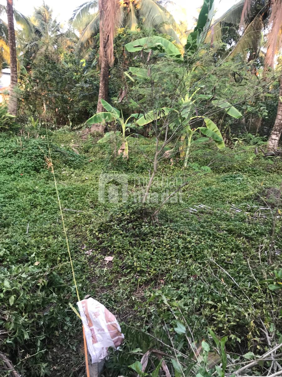 Mua bán Đất nông nghiệp 210 m2 tại Thành phố Mỹ Tho