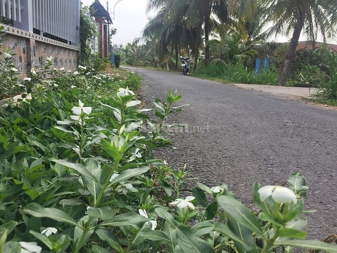 —–Hơn 900m2 đất đường ô tô, Mỹ Phong—–