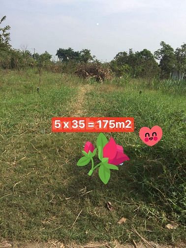 Bán đất Thị Xã Gò Công, Ấp Hưng Hòa, xã Long Hưng, TX. Gò Công 175m2