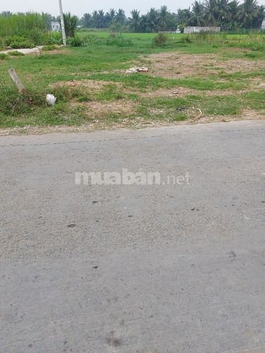 Cần bán lô đất mt nhựa 6m khu dân cư hiện hữu
