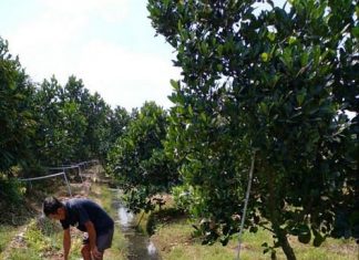 Bán 8.800m2 đất xã Mỹ Đức Đông, Cái Bè, Tiền Giang.
