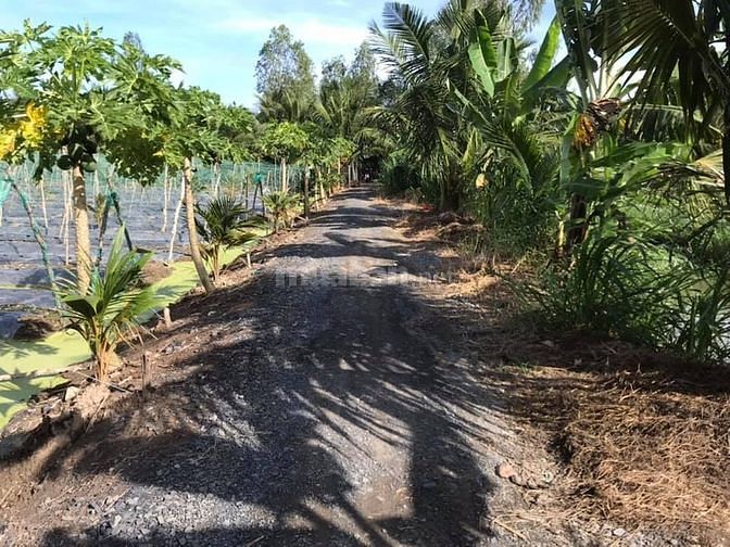 Bán mảnh đất vườn xã Bình Ninh, chợ gạo,GCT,TG
