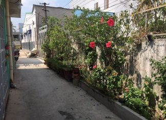 -----Nhà cấp 4, sau trường Chính trị-----