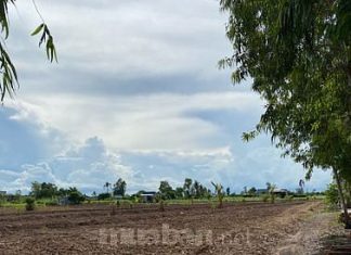 Đất Nền 9000m2 Đất 3 Mặt Tiền Tân Phú Đông