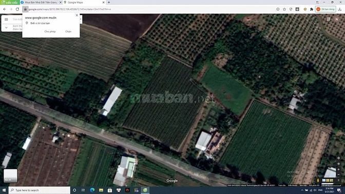 Đất chính chủ Ấp Mỹ Phú, xã Mỹ Phong, Tiền Giang