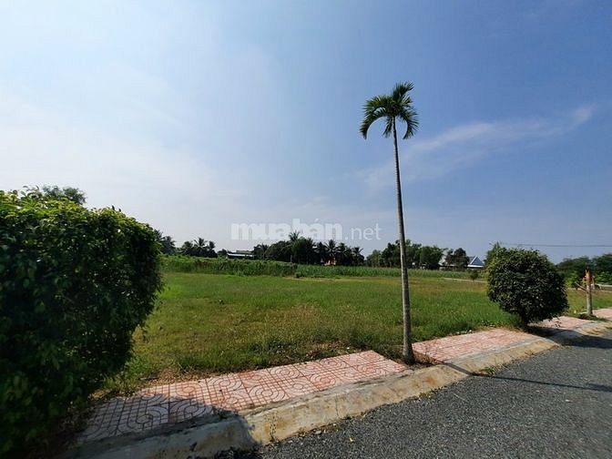 Đất thổ cư liền kề khu công nghiệp tân hương tiền giang