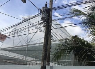 Bán đất ở OO3, Khu 3, Thị Trấn Chợ Gạo, huyện Chợ Gạo, Tiền Giang