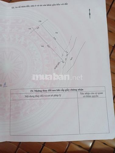 Đất nền trồng cây lâu năm giá đầu tư