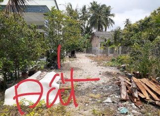 Bán 2 công đất gần sát TP Mỹ Tho Tiền Giang siêu rẻ. Chỉ 740 triệu