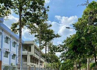 Bán gấp lô ĐẤT BIỆT THỰ 2 MẶT TIỀN P6, TP Mỹ Tho, Tiền Giang.