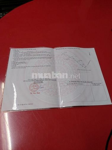 Bán nhà ở mặt tiền lộ tránh TX. Cai Lậy, Tiền Giang