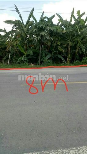 Bán mặt tiền đường tránh Cai Lậy