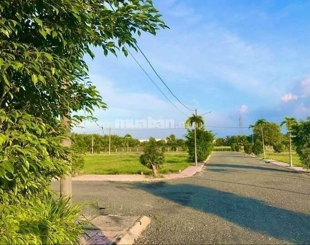 Đất nền khu công nghiệp Tân Hương
