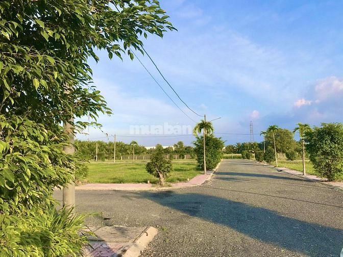 Đất nền thổ cư gần khu công nghiệp chỉ từ 190tr